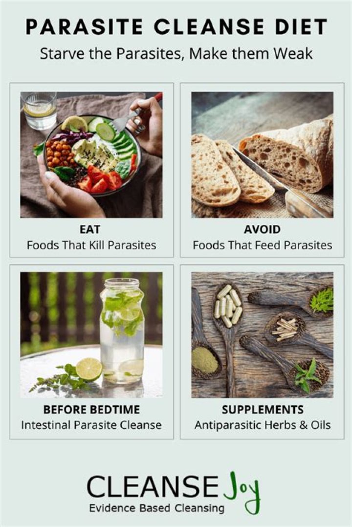 What should I eat during a parasite cleanse?