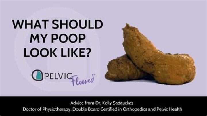 What should my poop look like?