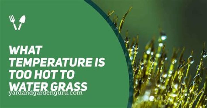 What temperature is too hot to water grass?