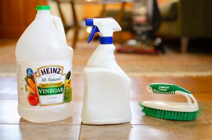 What to mix with vinegar to mop floors?