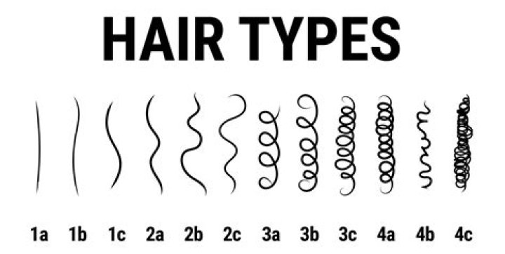 What type of hair is Mongolian?