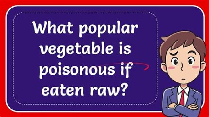 What vegetable is poisonous if eaten raw?