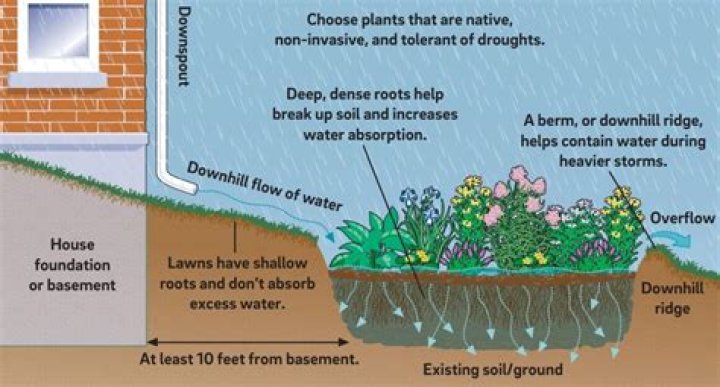 What will absorb water in basement?