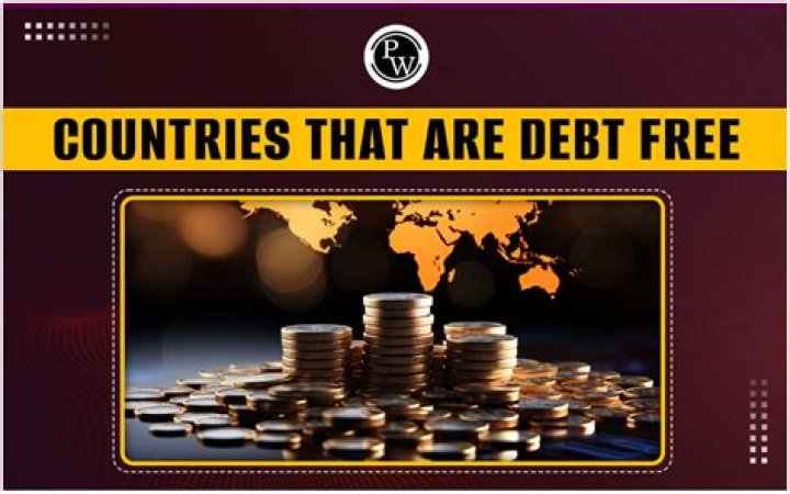 What would happen if a country has no debt?