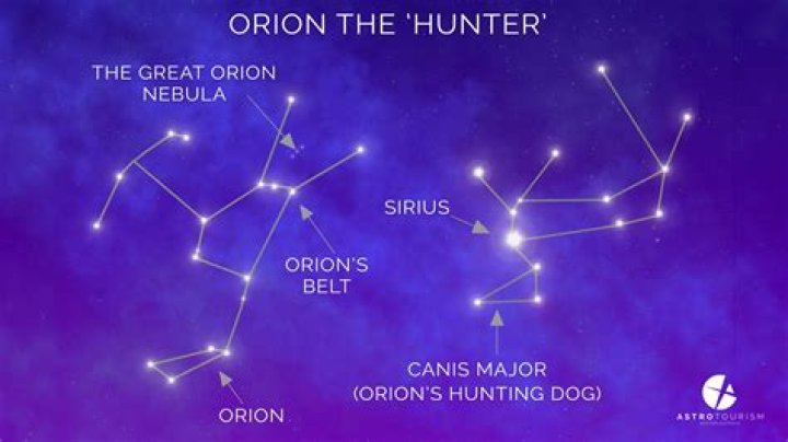 What year is Orion Amari in?