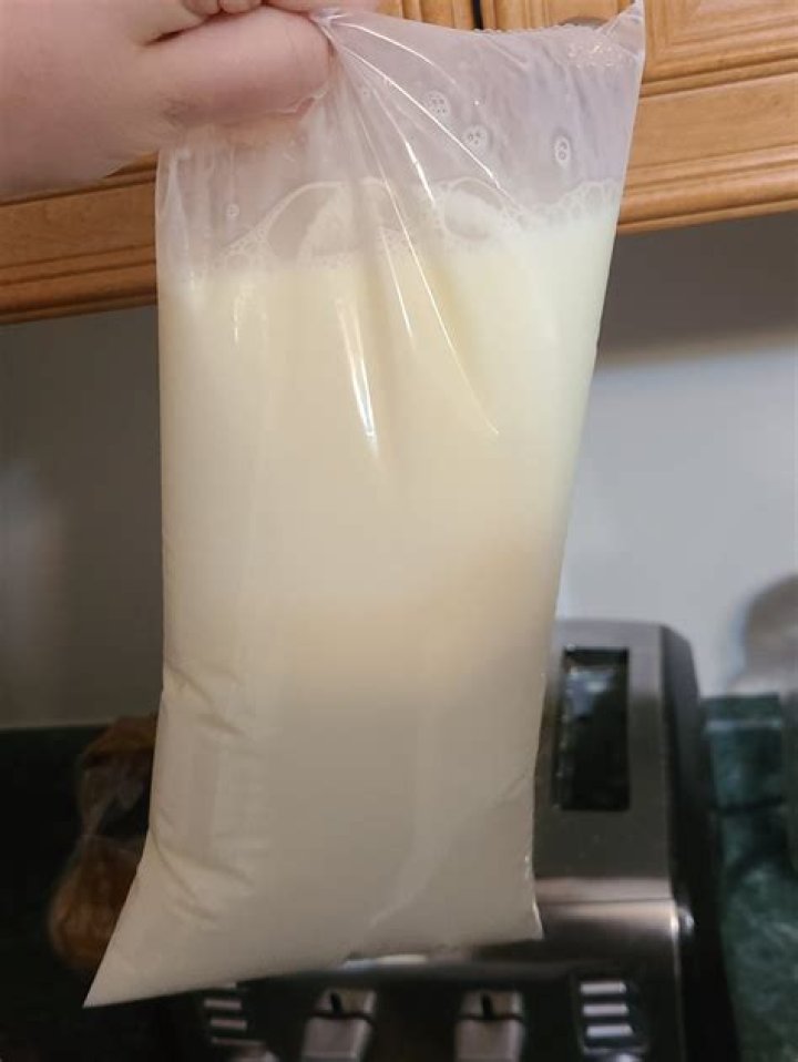 When did bagged milk start?