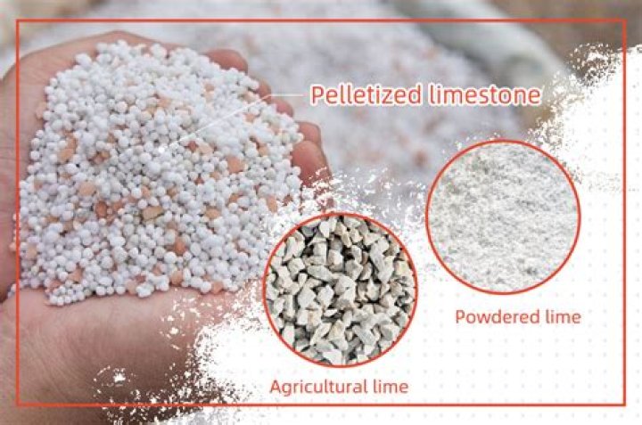 When should I apply pelletized lime?
