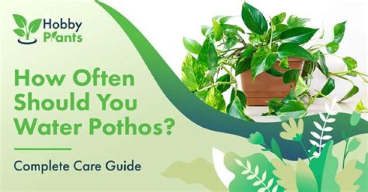 When should I upgrade my watering can?