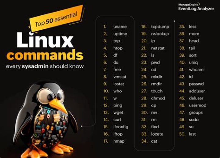 Where is AVI commonly used?