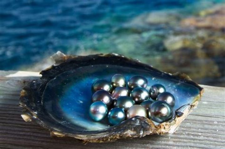 Where is Tahitian pearl from?