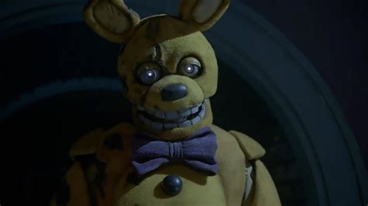Which animatronic is Chris Afton?