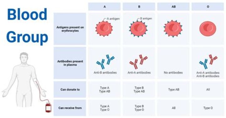 Which blood groups Cannot have babies together?