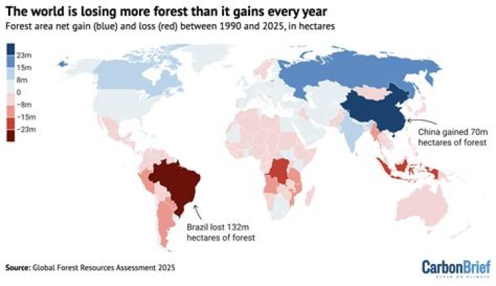 Which country is first in deforestation?