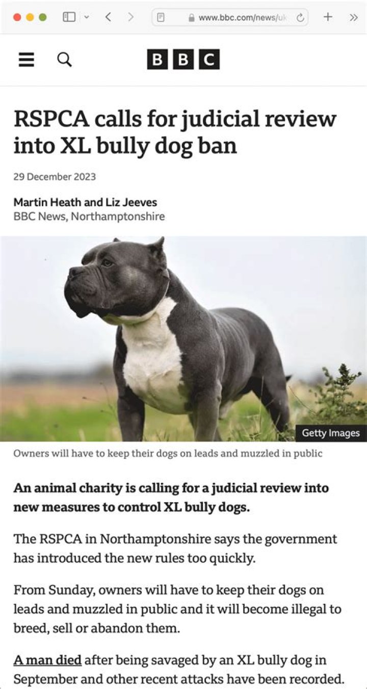 Which dog is banned in UK?