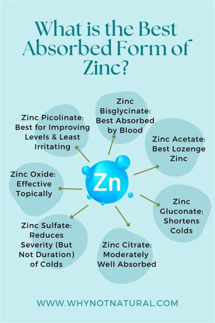 Which form of zinc is best absorbed?