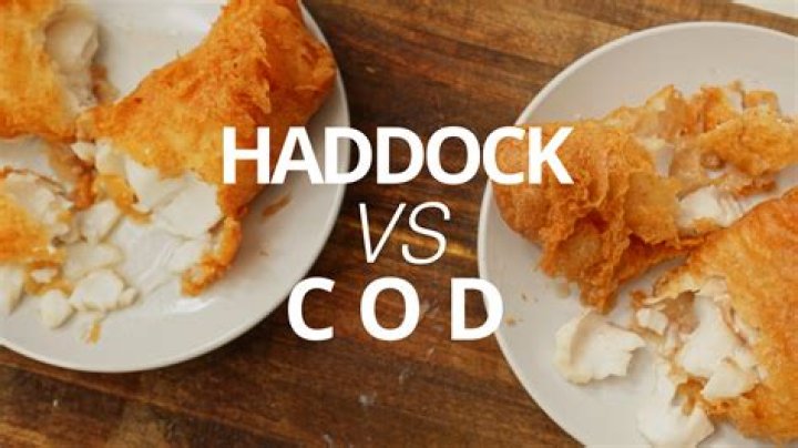 Which is tastier halibut or haddock?
