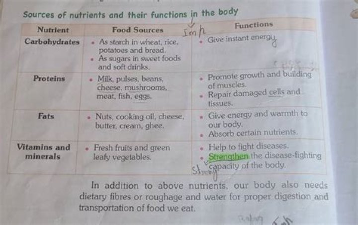 Which of the following classes of nutrients supply energy to the body?