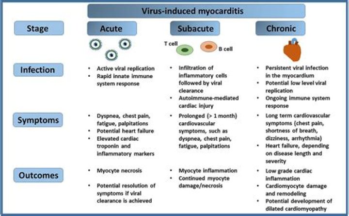 Which of the following viruses may cause a persistent viral infection?
