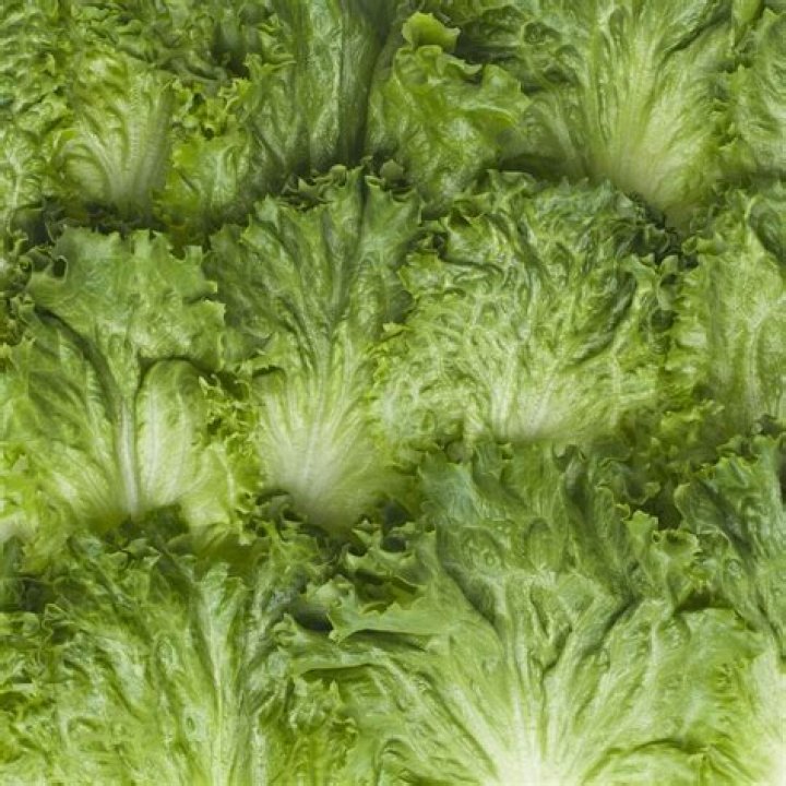 Which salad mix is healthiest?