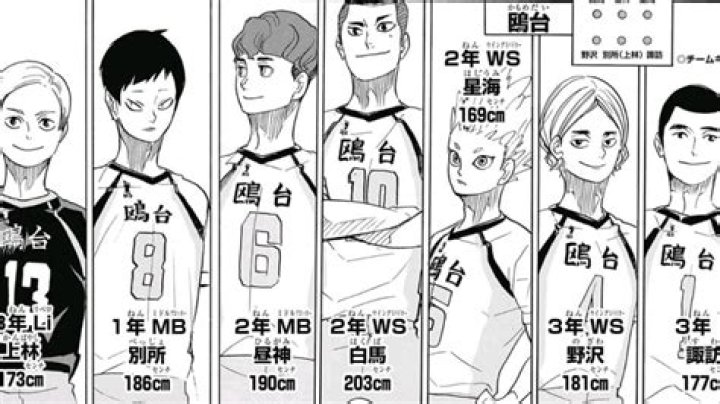 Who did Karasuno lose to in nationals?
