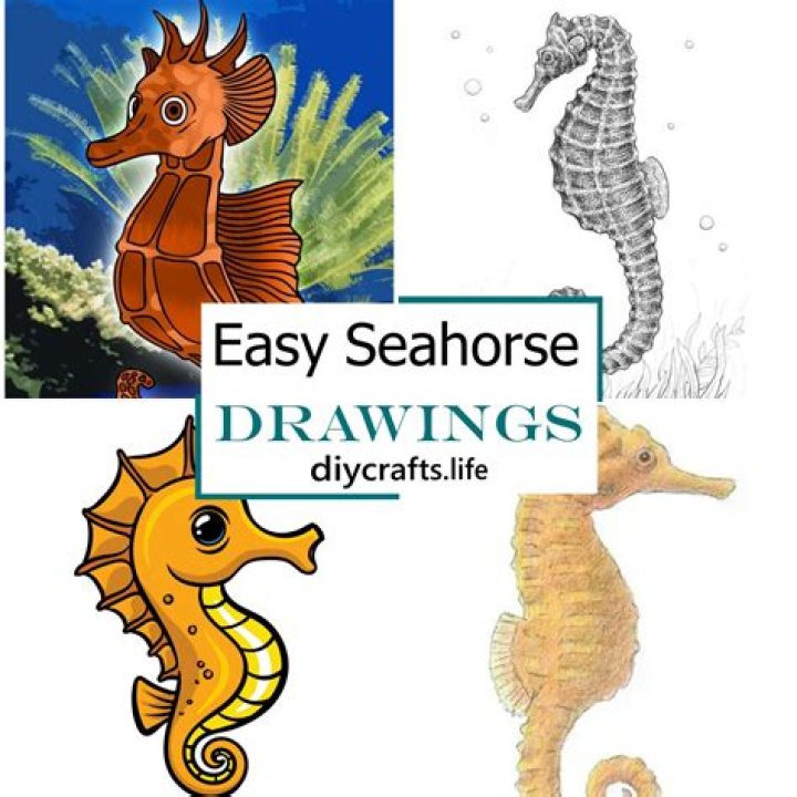 Who eat sea horse?