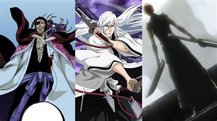 Who has the longest zanpakuto?