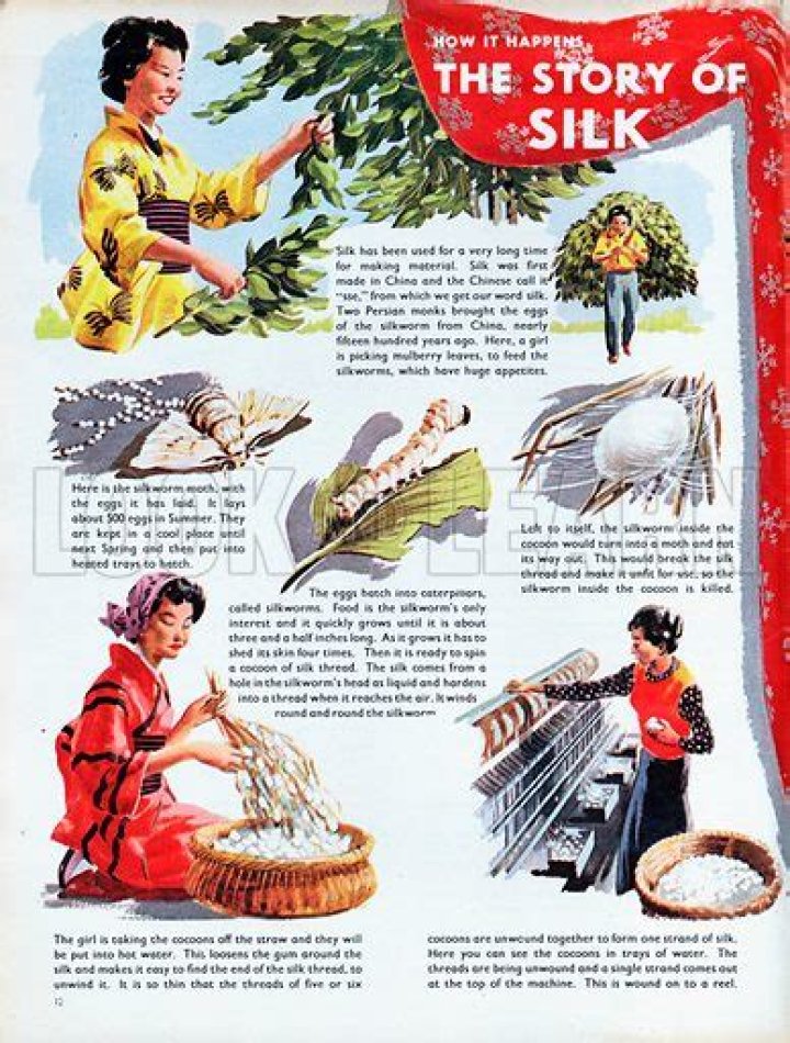 Who invented silk?