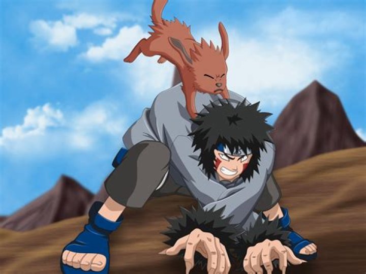 Who is Kiba dog?