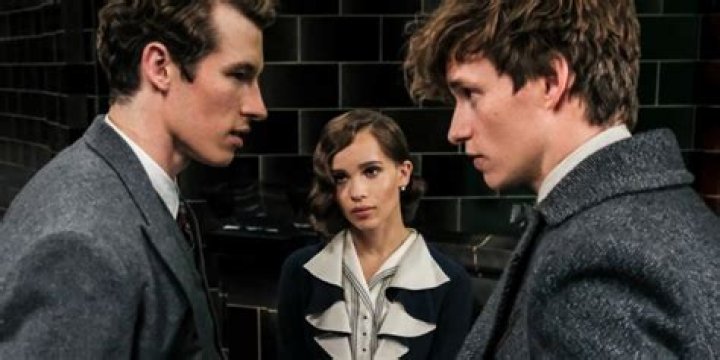 Who is Leta lestrange to Newt?