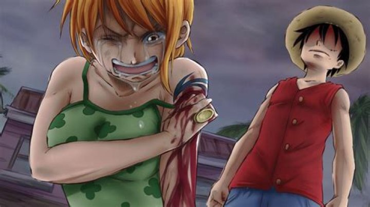 Who is Nami love?