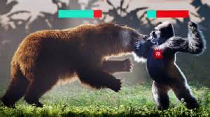 Who is stronger a gorilla or a grizzly bear?