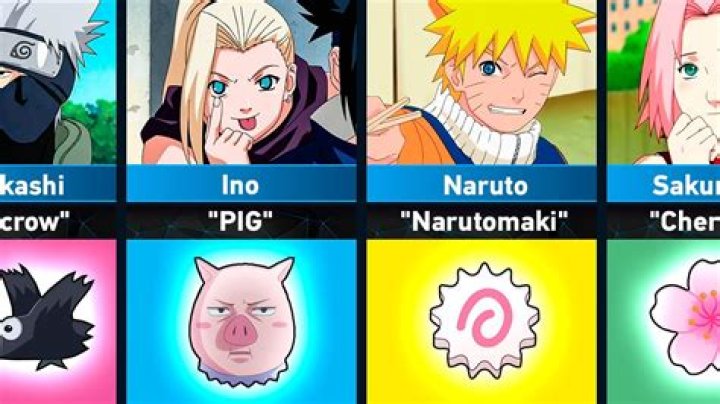 Who is the oldest in Naruto class?