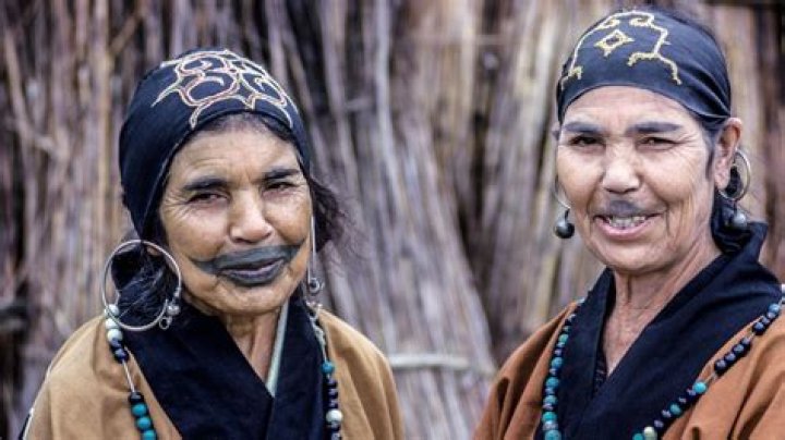 Who lived in Japan before the Japanese?