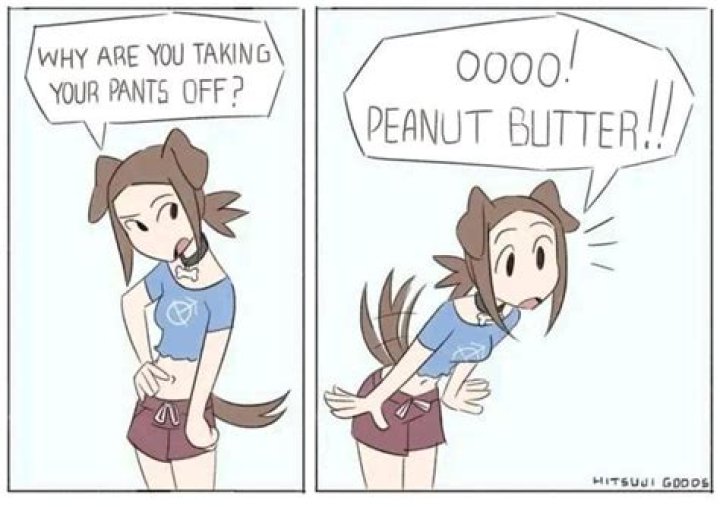 Who stripped for peanut butter on Survivor?