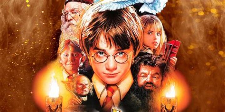 Who won the Triwizard Tournament?