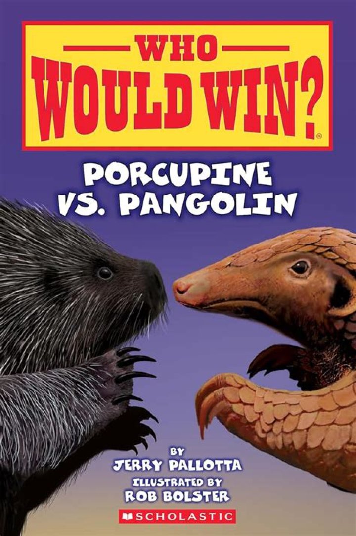 Who would win Raven or terra?