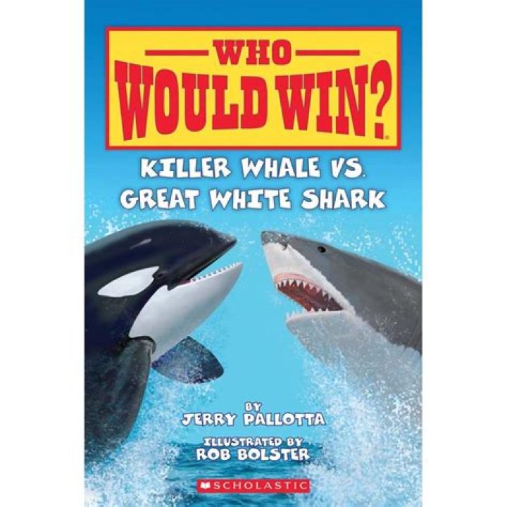 Who would win shark or killer whale?