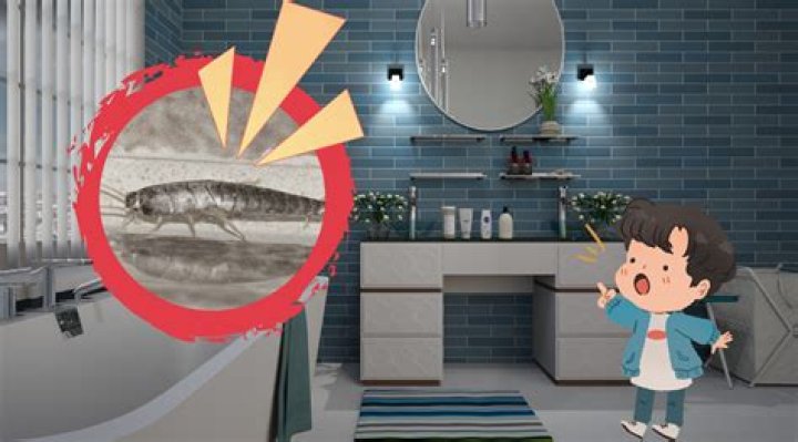 Why am I finding silverfish in my bathroom?