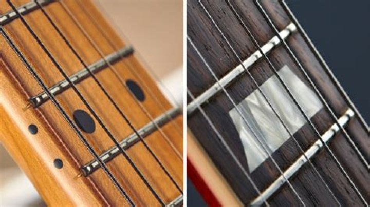 Why are rosewood guitars banned?