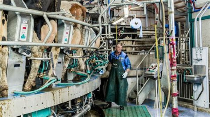 Why can't we drink human milk?