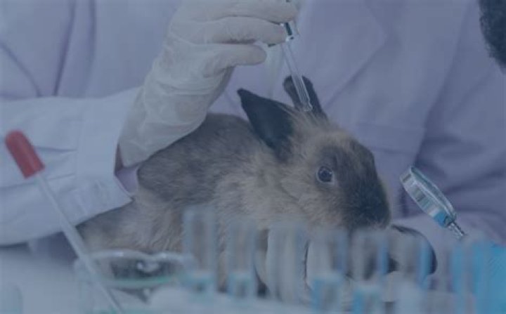 Why did the UK ban animal testing?