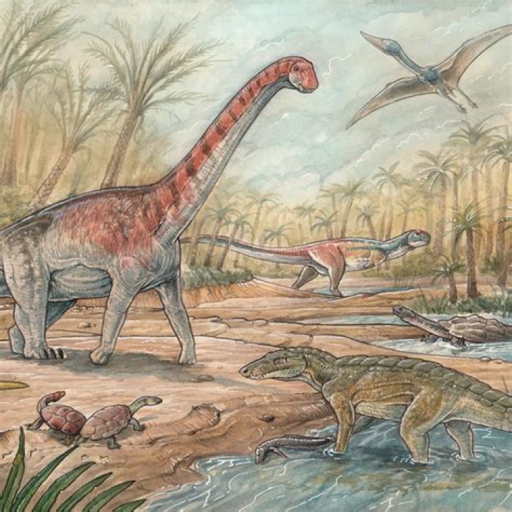 Why dinosaurs died but not other animals?