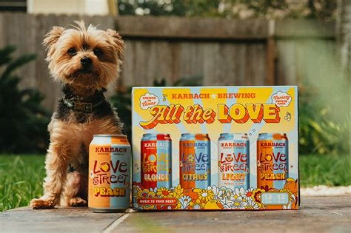 Why do dogs love beer?