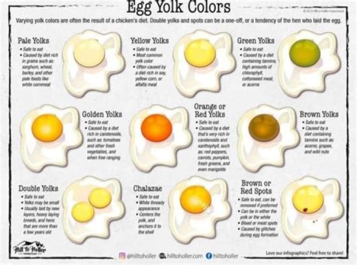 Why do eggs help hangovers?