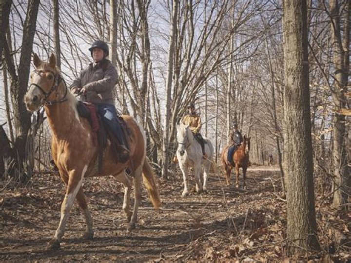 Why do horseback riders post?