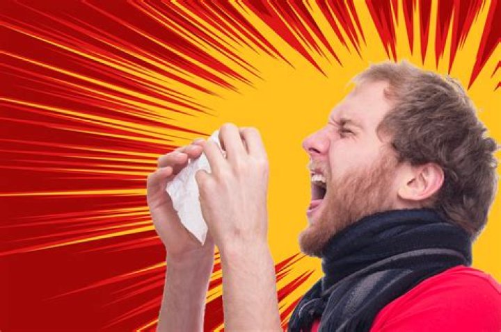 Why do I sneeze so hard?