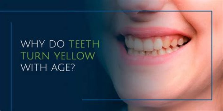 Why do teeth turn yellow with age?