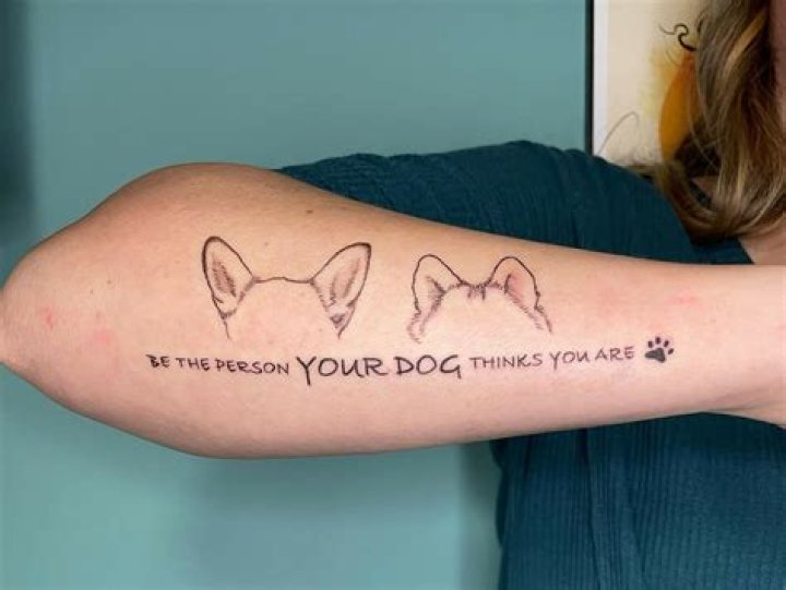 Why do they tattoo dogs ears?