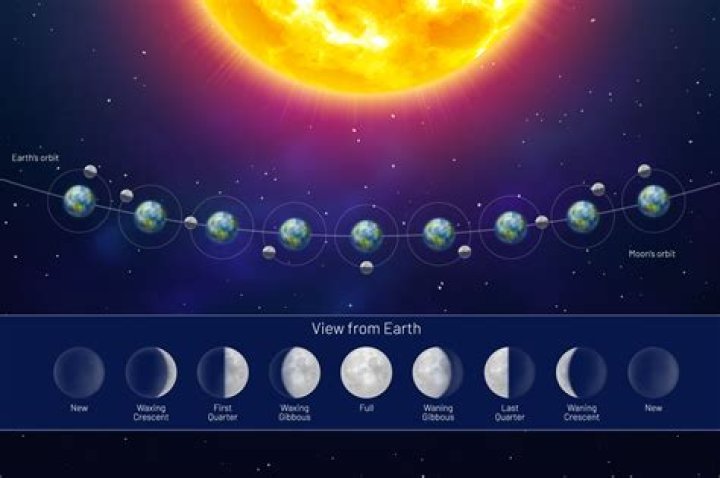 Why do we have a moon?