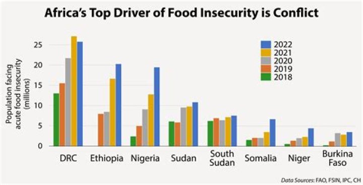 Why does Africa have no food?